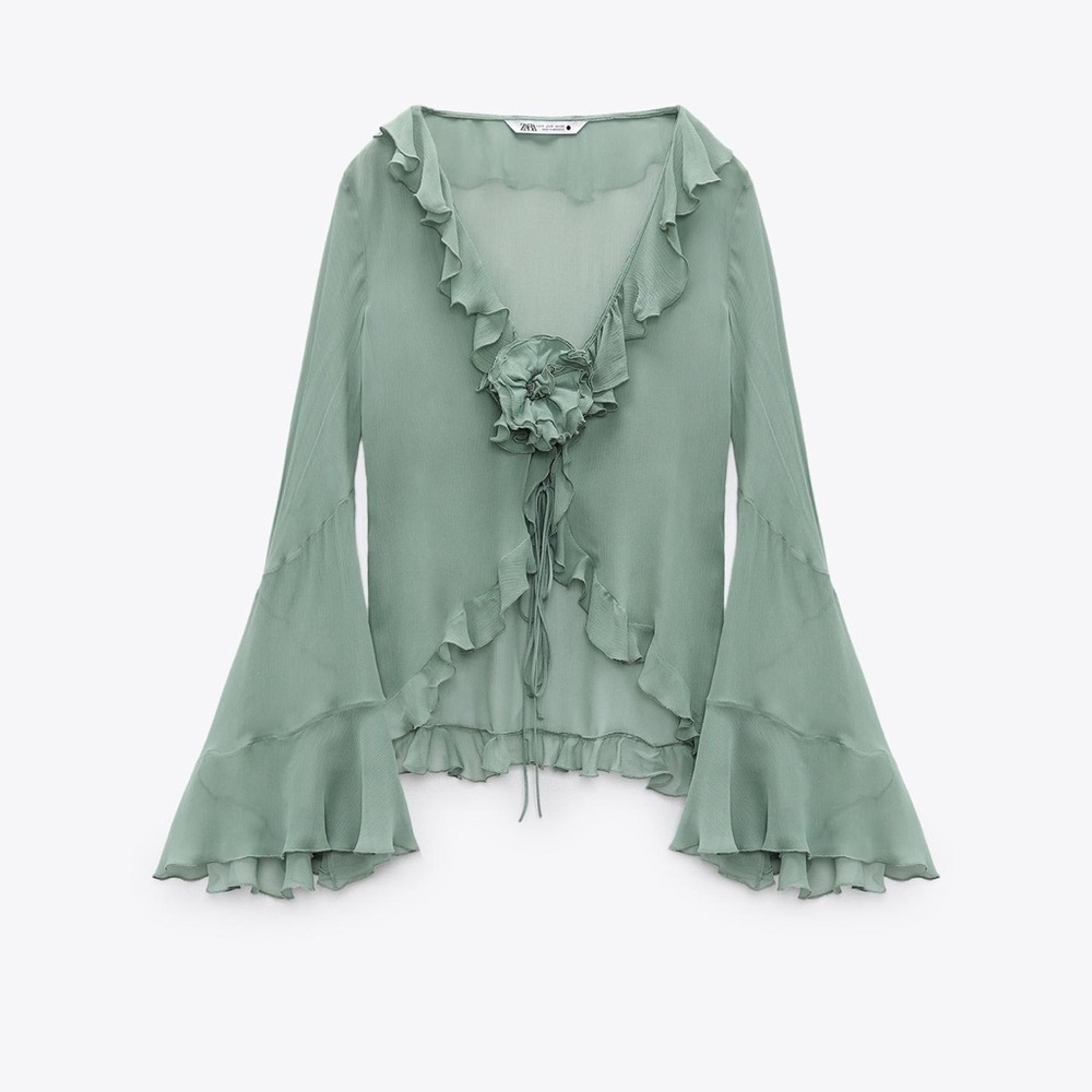 Zara Semi-sheer blouse with ruffles